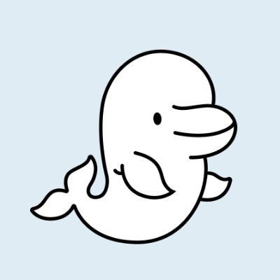 beluga