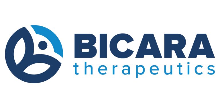 Bicara