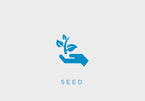 seed